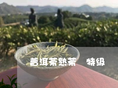 普洱茶熟茶 特级/2023041009505